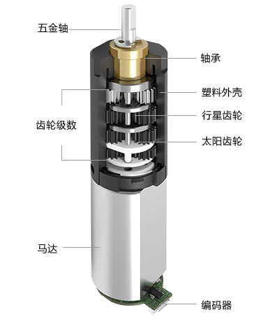 8MM���ٳ�����