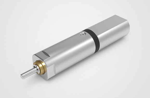 �������Ǽ�����