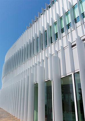 �綯��Ҷ����